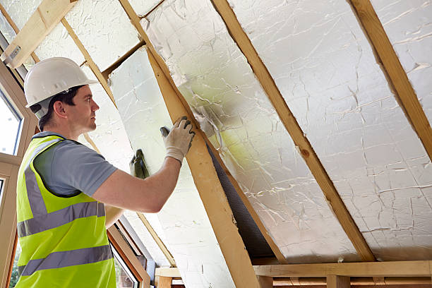 Best Specialized Insulation Services in Grayson, GA